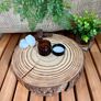 POTE-DE-VIDRO-COSMETICO-AMBAR-30g-COM-TAMPA-PRETA2